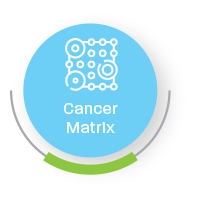 Cancer Matrix